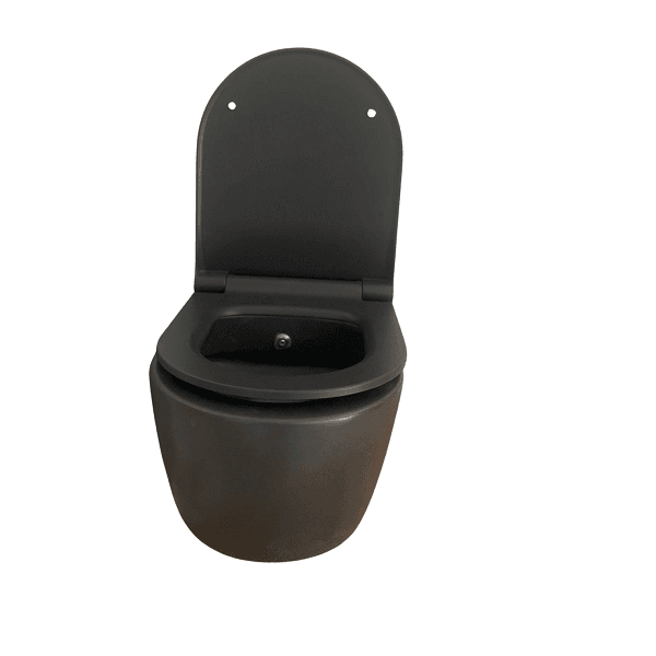 black wall hung toilet